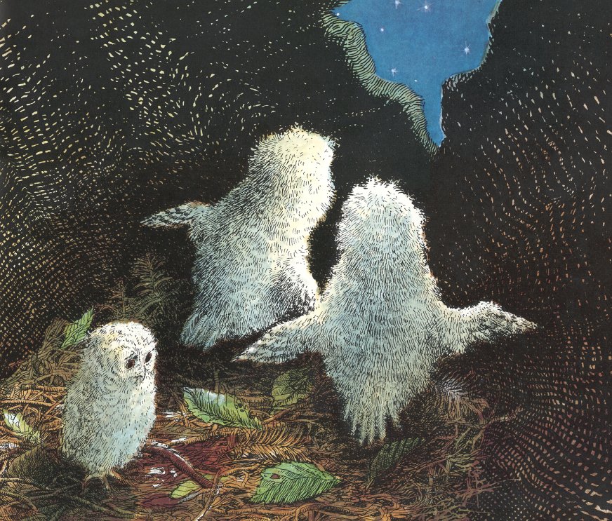 owl babies (03),绘本,绘本故事,绘本阅读,故事书,童书,图画书,课外阅读